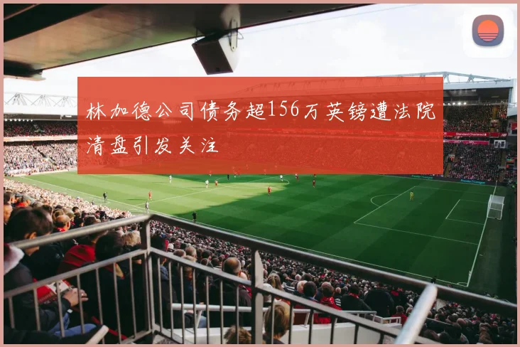 林加德公司债务超156万英镑遭法院清盘引发关注