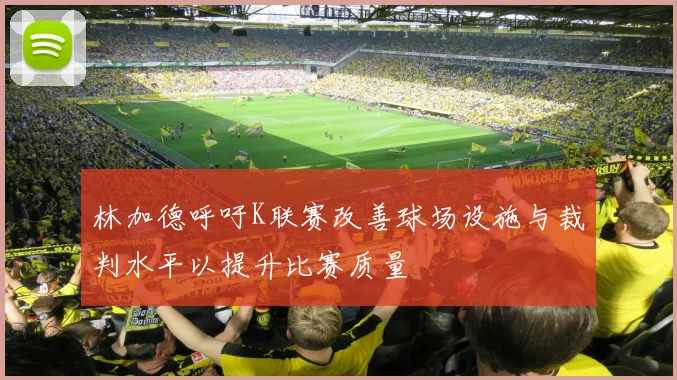 林加德呼吁K联赛改善球场设施与裁判水平以提升比赛质量