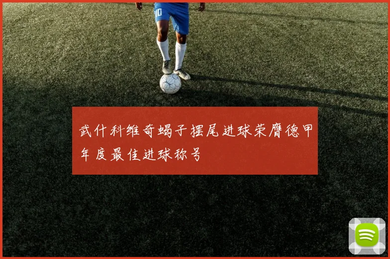 武什科维奇蝎子摆尾进球荣膺德甲年度最佳进球称号